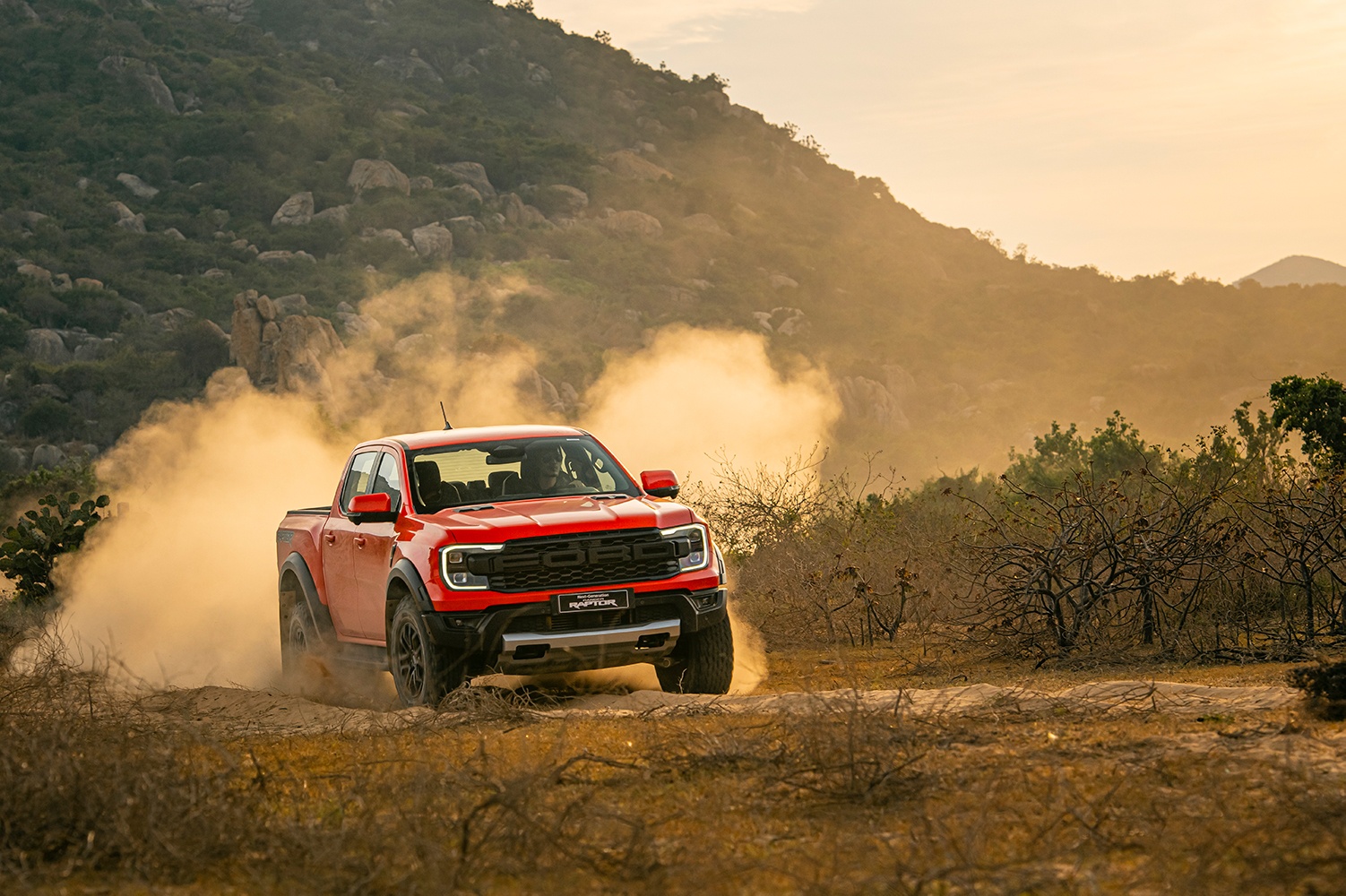 Tổng quan về chiến mã Ford Raptor